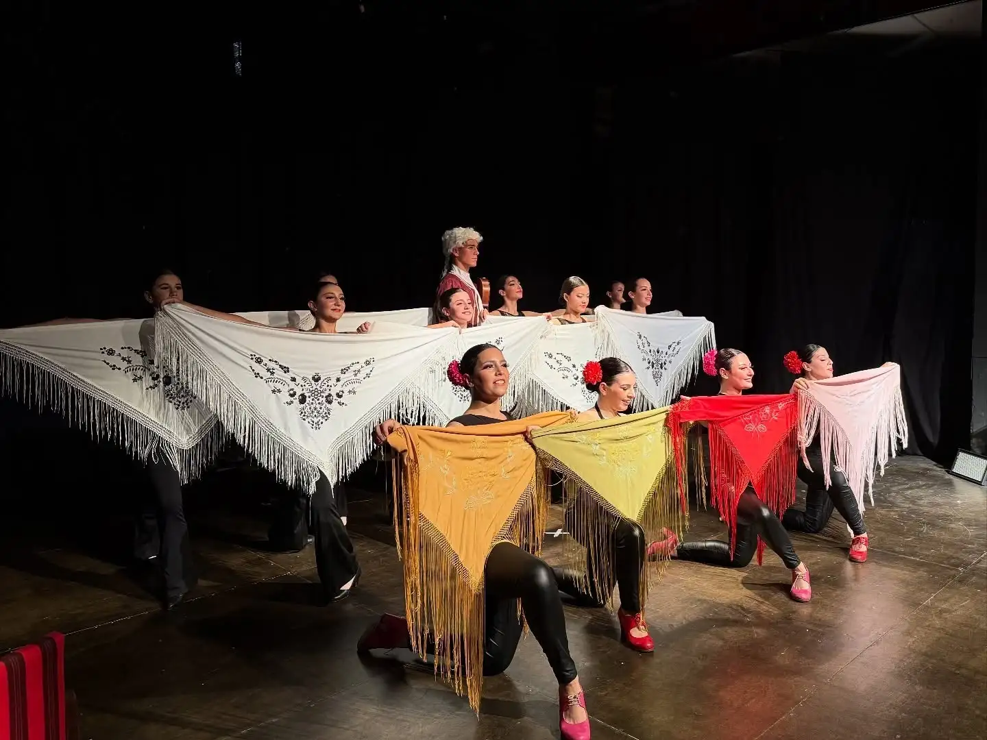 El Ballet actuó bajo la dirección coreográfica de Melisa Luciani y con la dirección artística de Alicia de Luciani. Foto: MVT