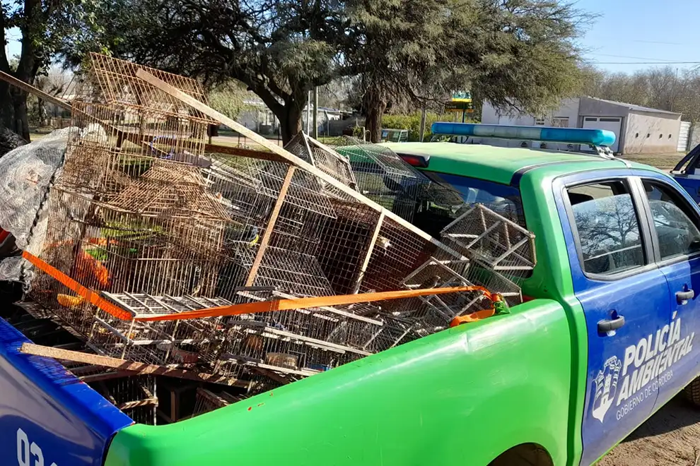 Policía Ambiental recuperó 43 aves del cautiverio