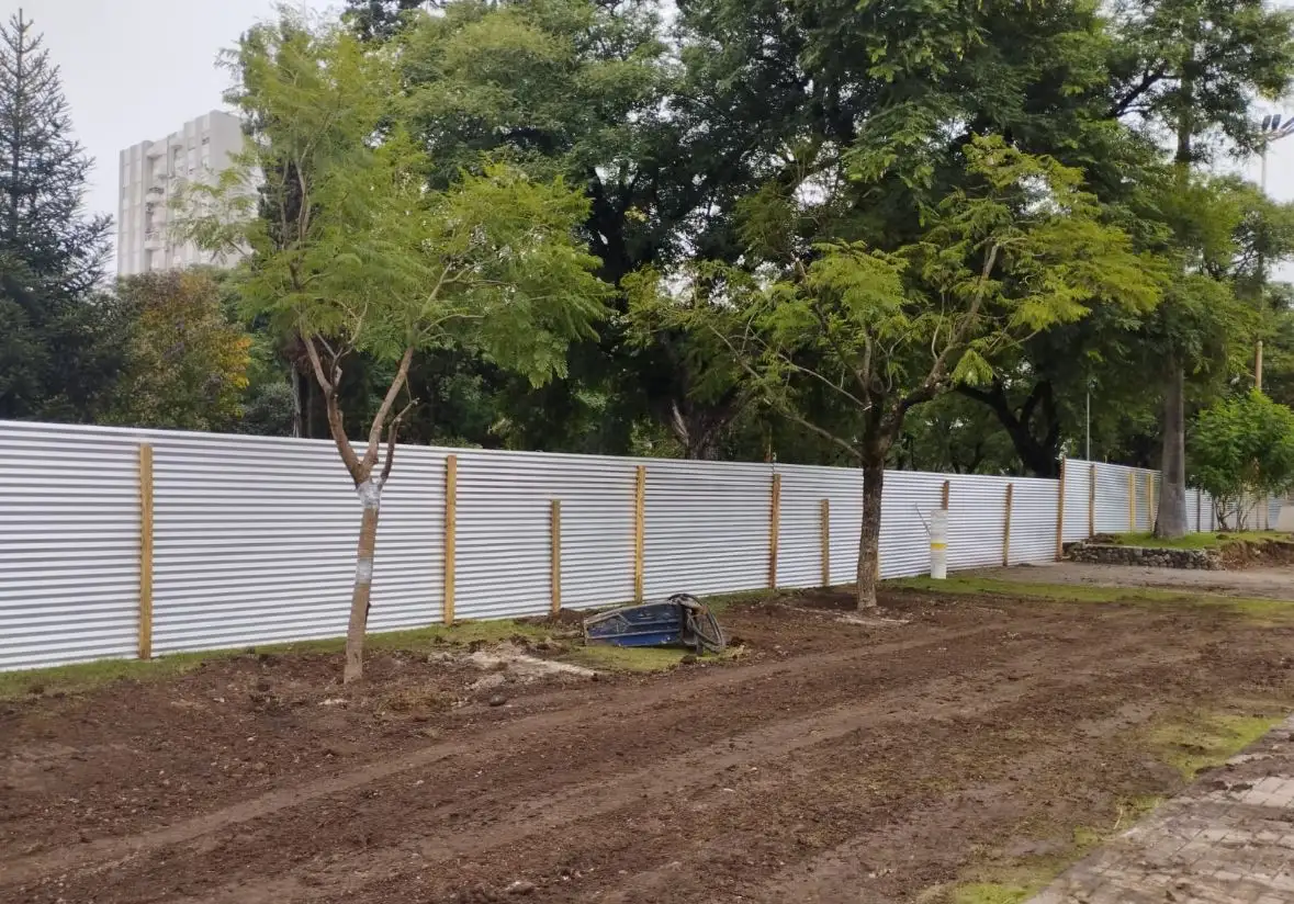 Se reubicaron tres árboles en la jornada.