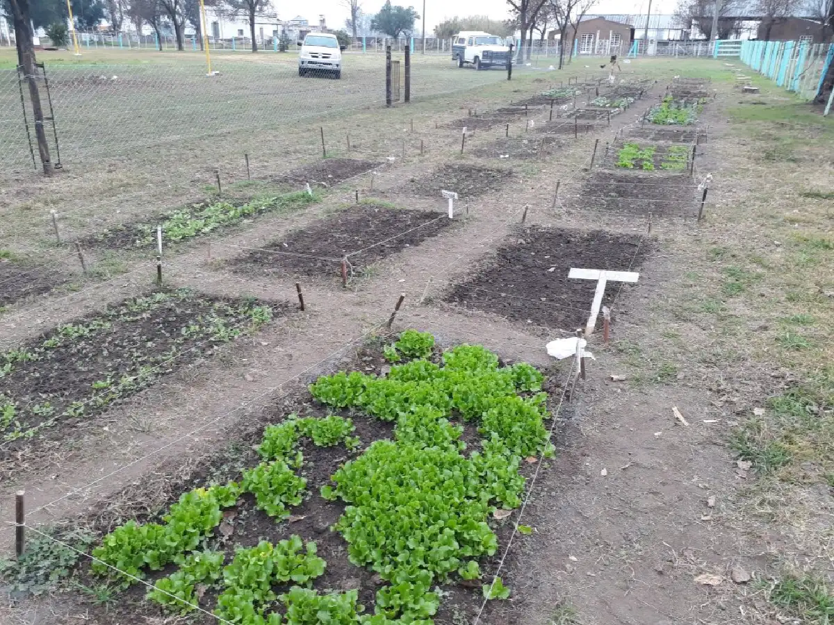 De la huerta a la mesa de los abuelos del Hogar 