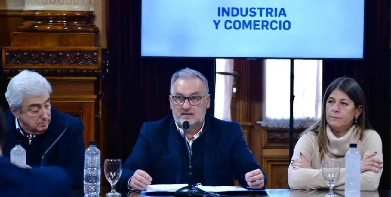 Marcelo Lewandowski presidirá la Comisión de Industria y Comercio del Senado Nacional