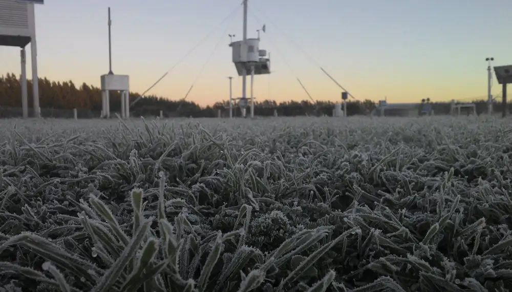 Ingresa una masa de aire polar y prevén heladas en todo el centro-norte del país