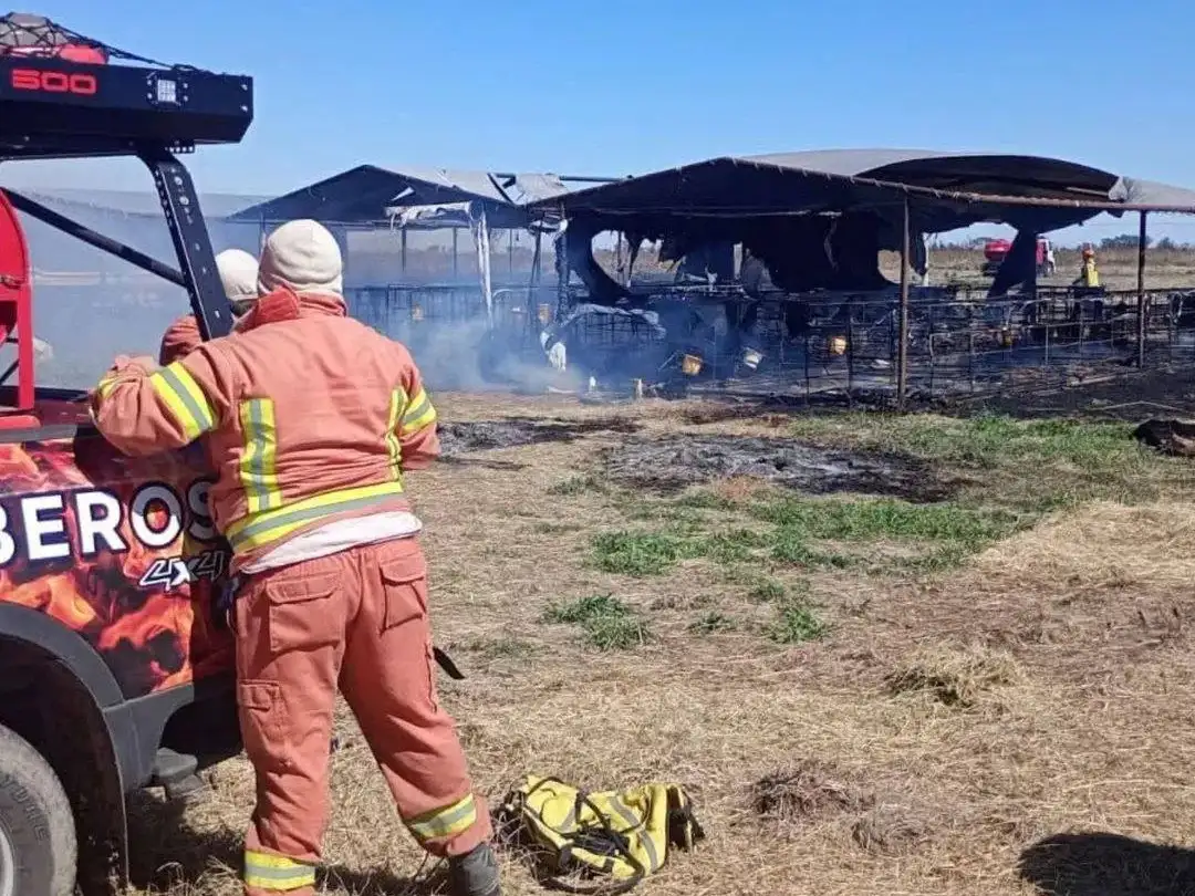 La tarea de los bomberos se vio dificultada por la presencia de fuertes vientos.
