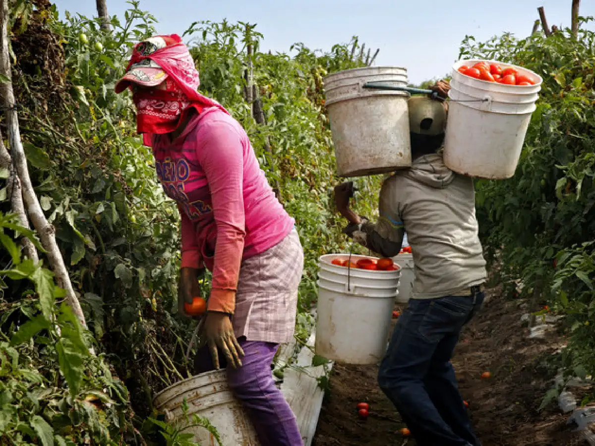 En el mundo, 50 millones de personas están esclavizadas en trabajos forzados