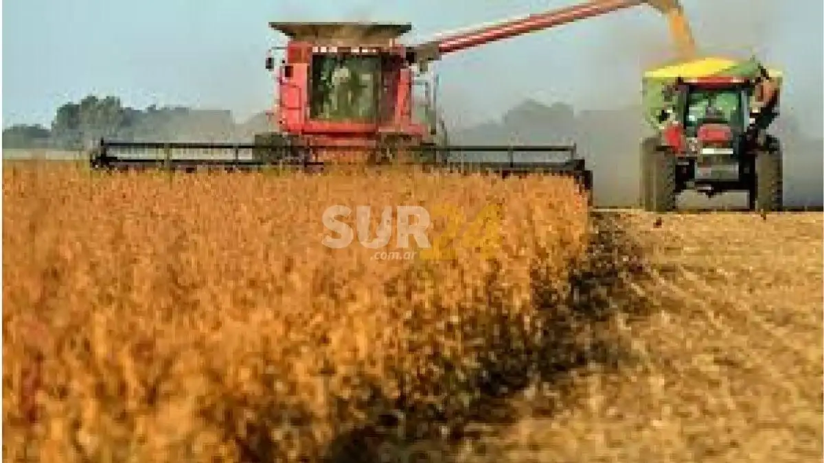 Presentarán un proyecto con incentivos para la agroindustria