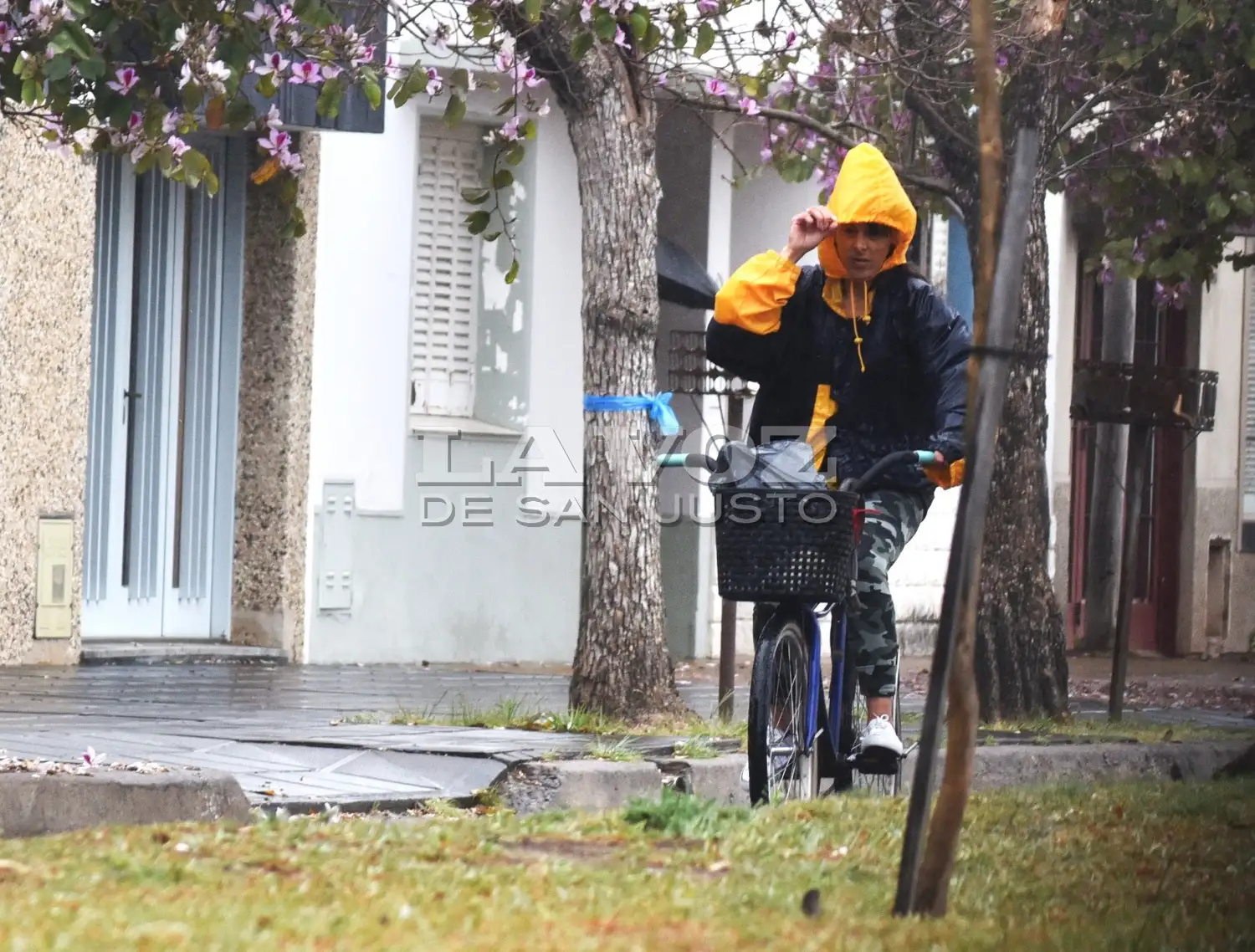 Una densa llovizna comenzó a caer esta mañana del sábado por nuestra ciudad