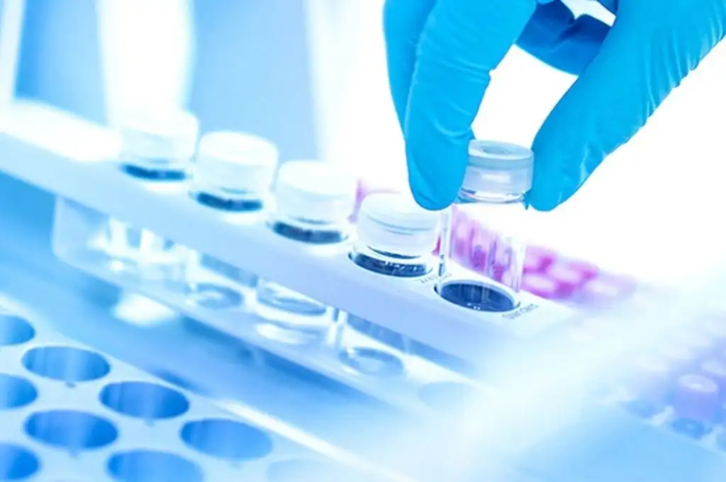 Una empresa argentina producirá a gran escala la proteína clave del coronavirus