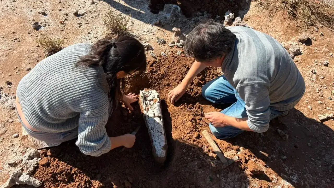 Cerca de Marull rescataron nuevos fósiles que aportan datos sobre la megafauna que habitó la región