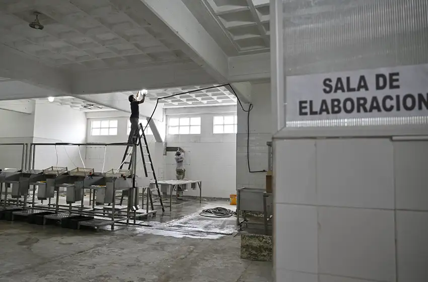 Última etapa de la obra para la primera planta escuela de procesamiento de pescado