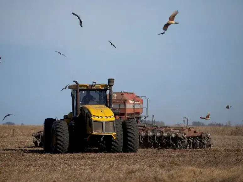 campo