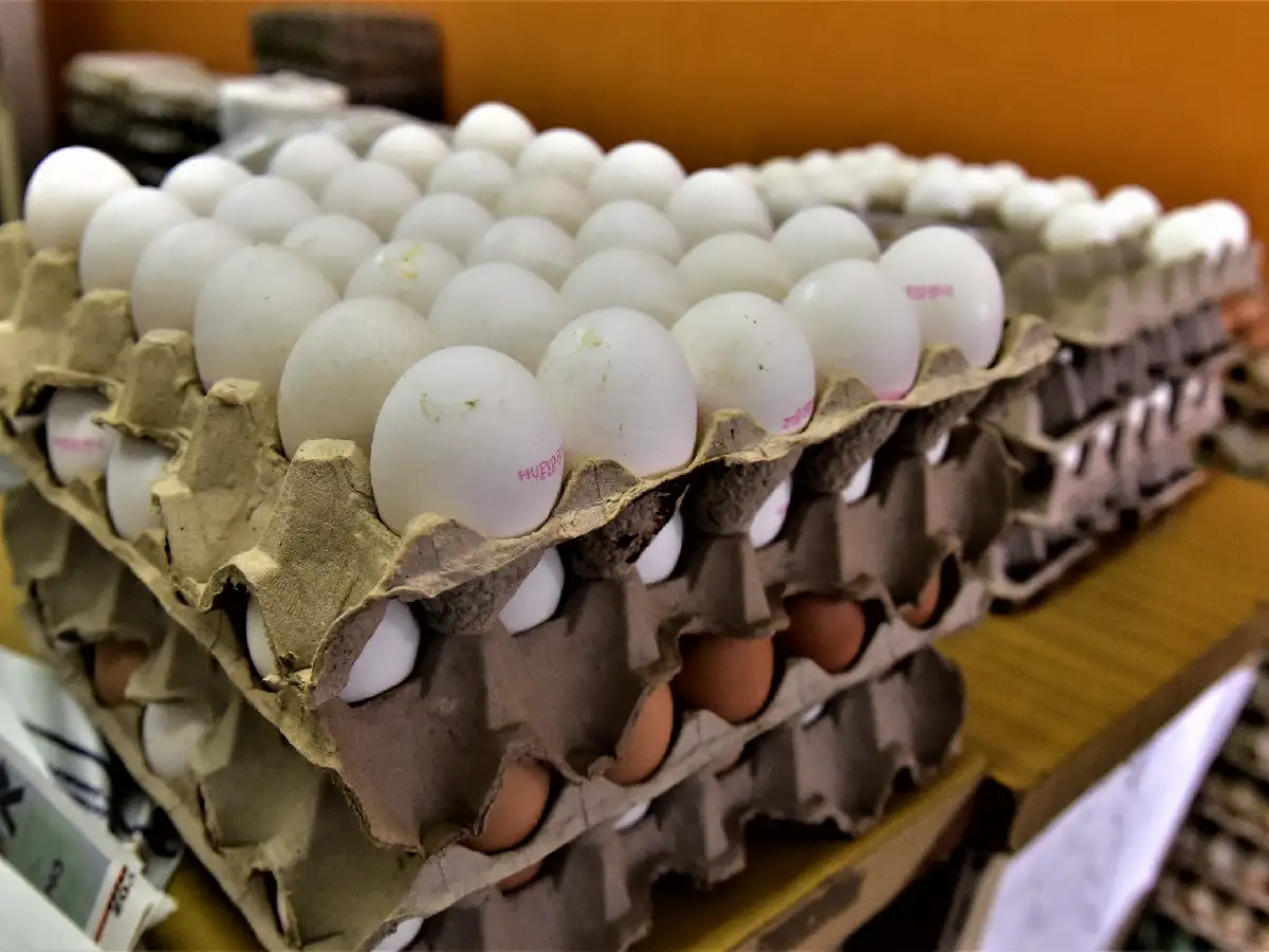 Por la inflación se achicó hasta el maple de huevos  