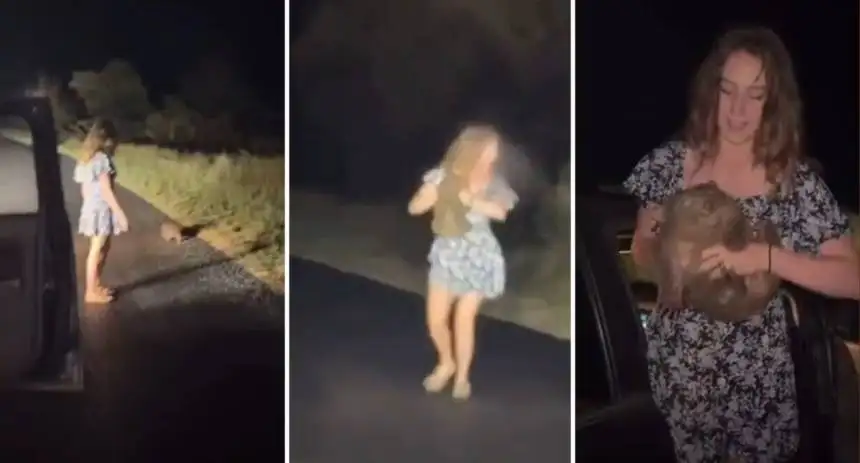 Video viral