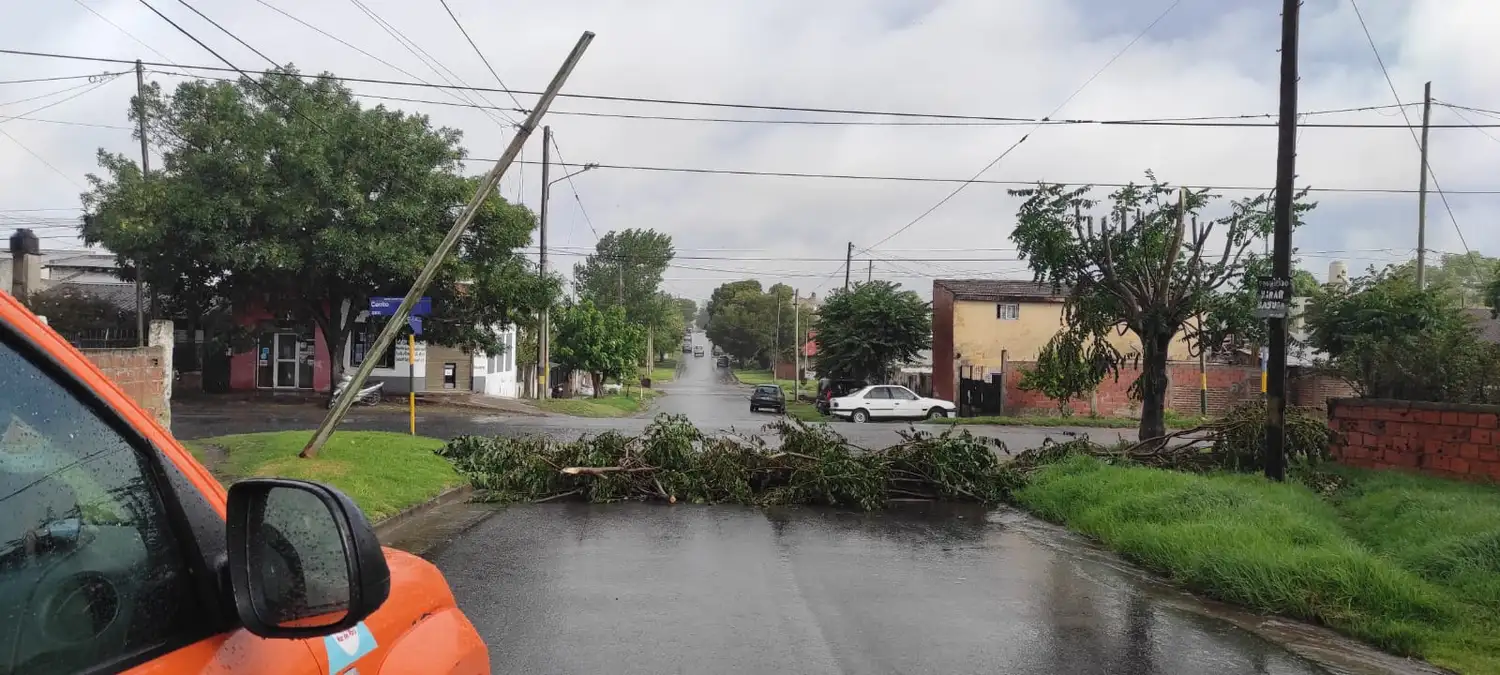Al menos 14 árboles caídos se registraron en la ciudad.