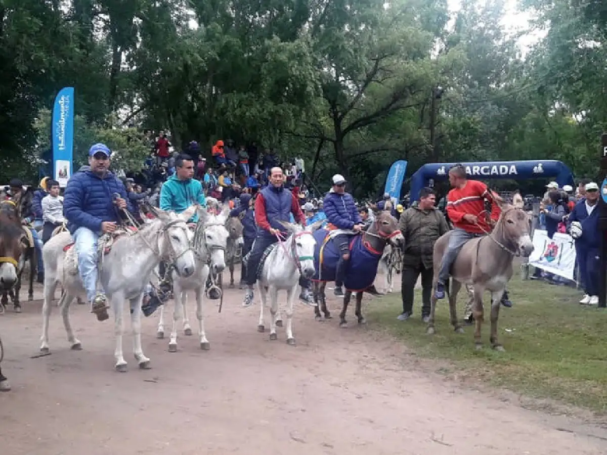 Se corre hoy el Rally Mundial de Burros en Mina Clavero