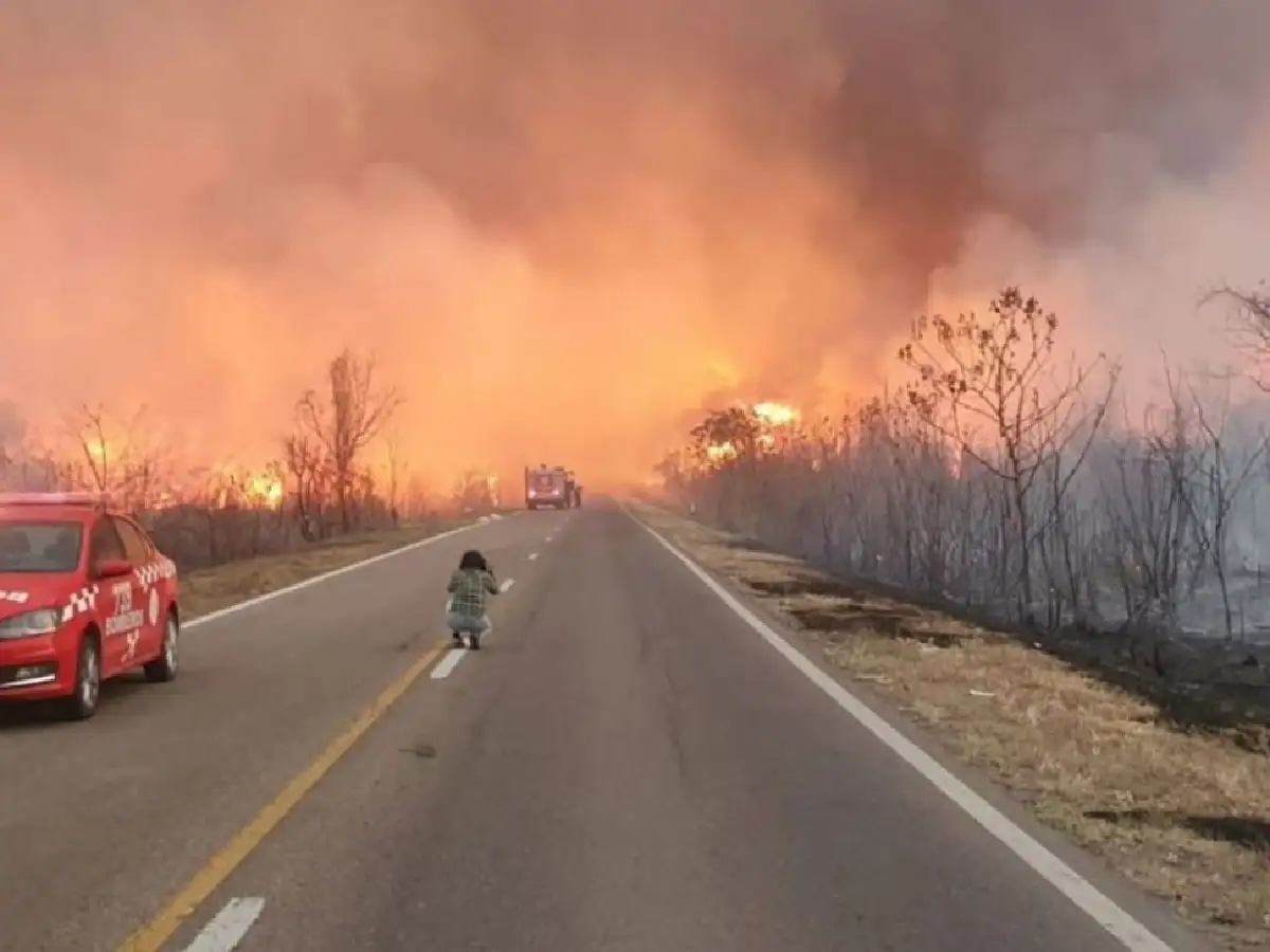 Incendios forestales en Salta: casi 4000 hectáreas fueron afectadas por las llamas