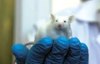 Virus domesticados para vencer al cáncer