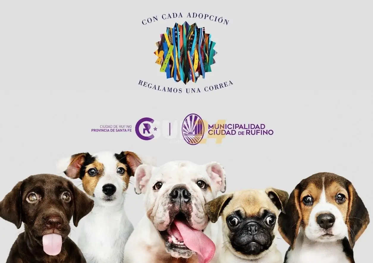 “Los lindos pasean en bondy”: original propuesta rufinense para fomentar la adopción canina