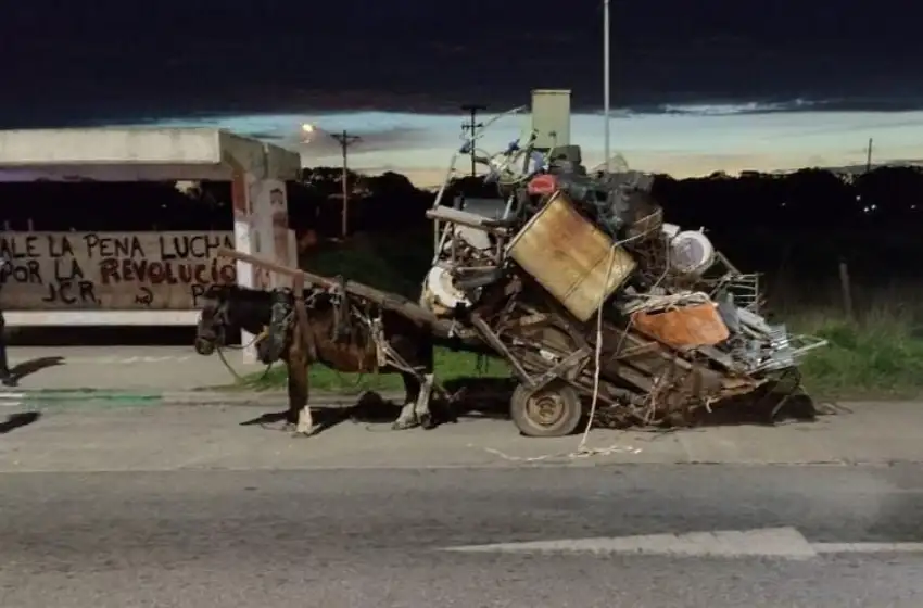Tracción a sangre: trasladaba chatarra en un carro tirado por un yegua preñada