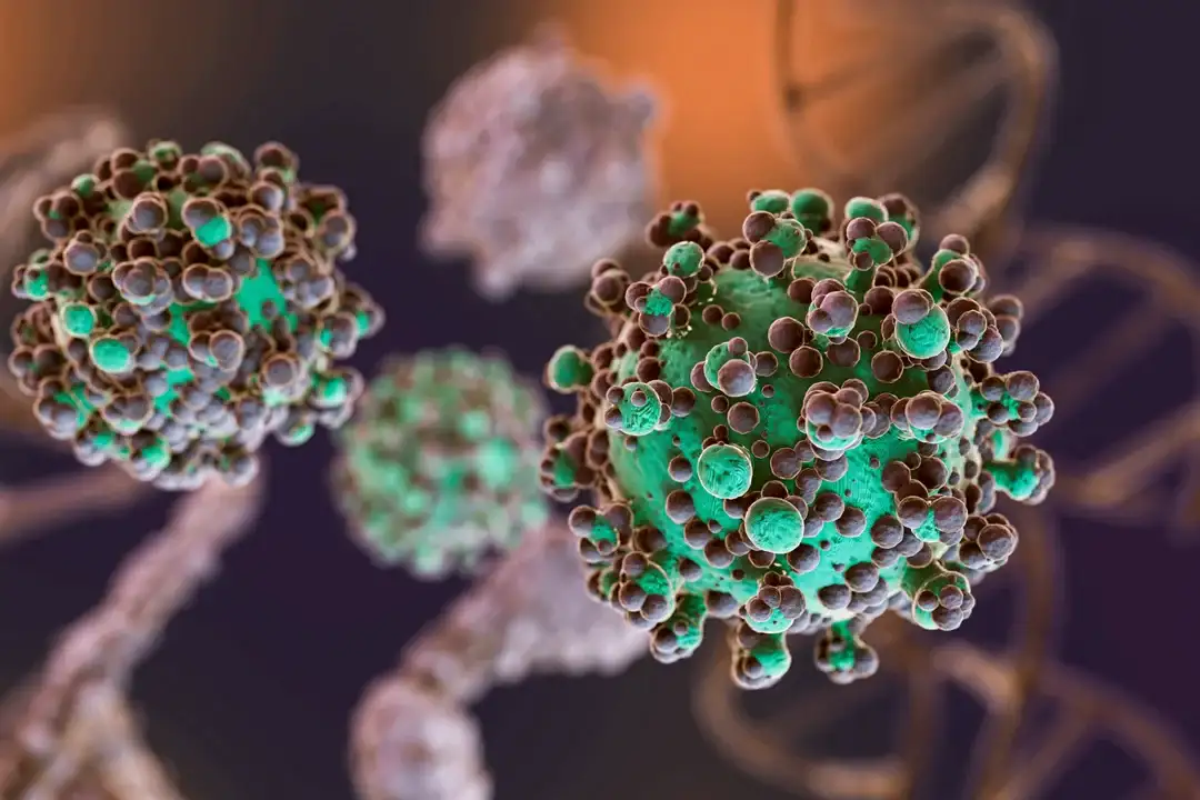 Hantavirus: el total de casos en Argentina asciende a 102