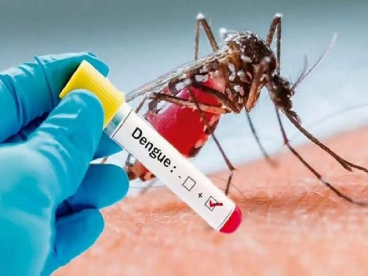 Ya son tres los casos de dengue en la ciudad