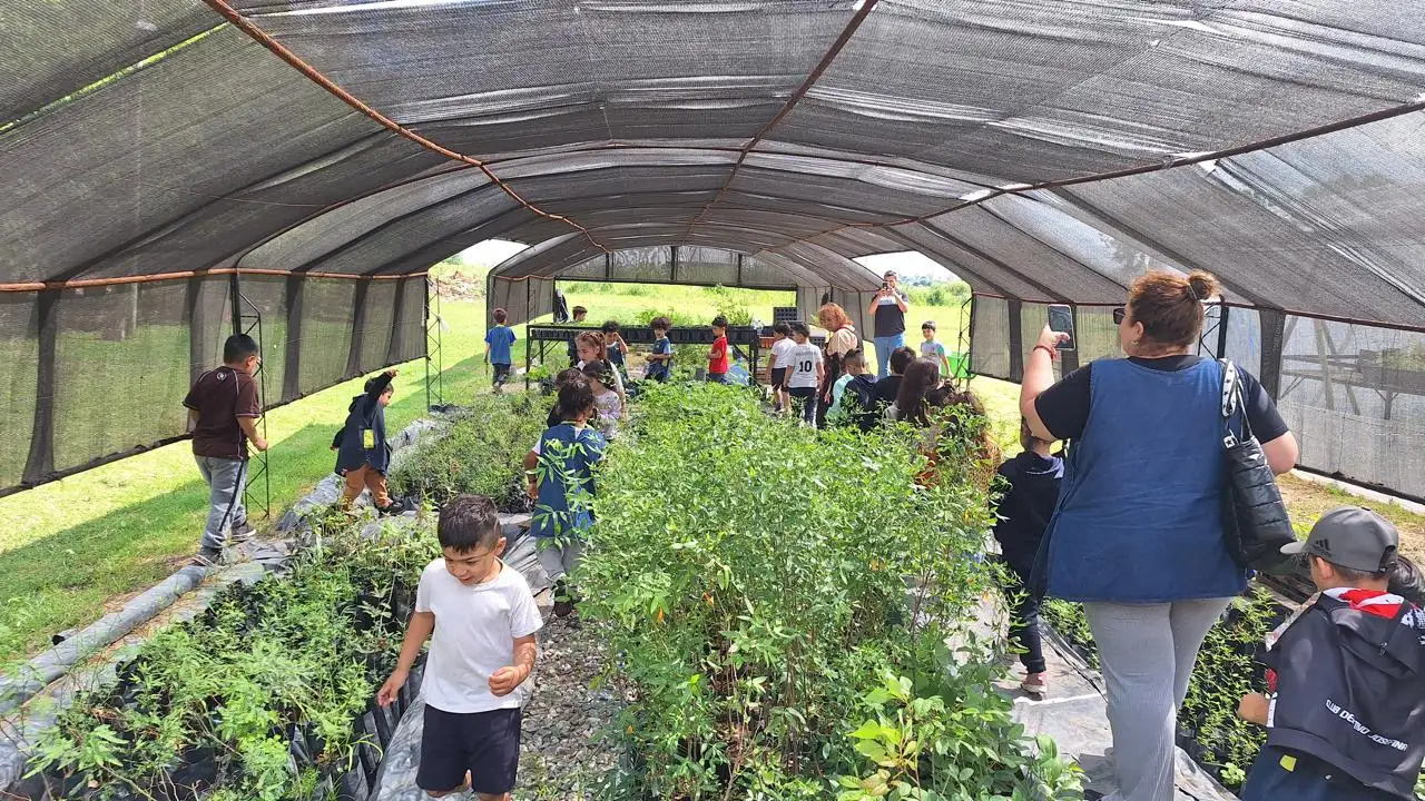 vivero municipal bouchard