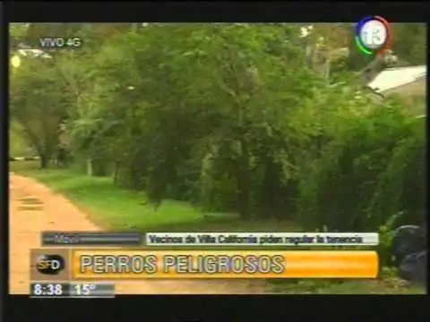 Solicitan que se legisle la tenencia de perros peligrosos