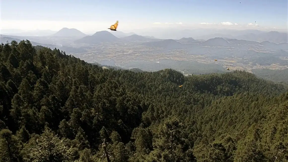 El paisaje de San Luis