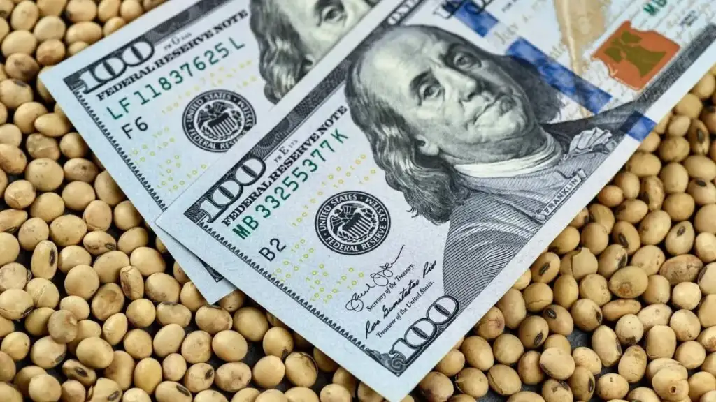 Las exportaciones agroindustriales totalizaron US$4.651 millones en agosto.