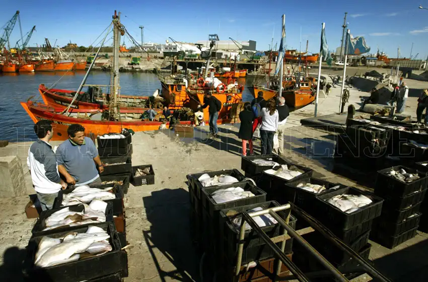 Rígel: hay un paro total de actividades en el Puerto