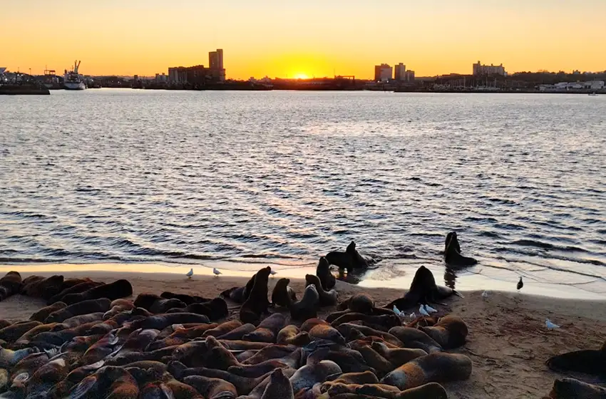 Volvió el sol, pero no por mucho tiempo