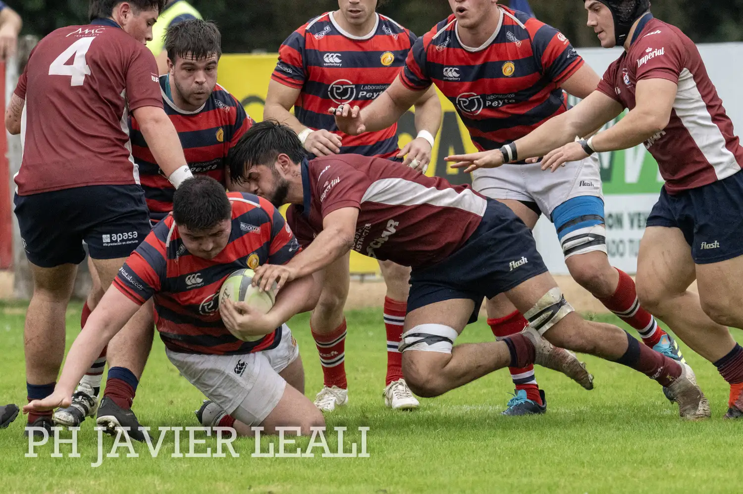 Rugby