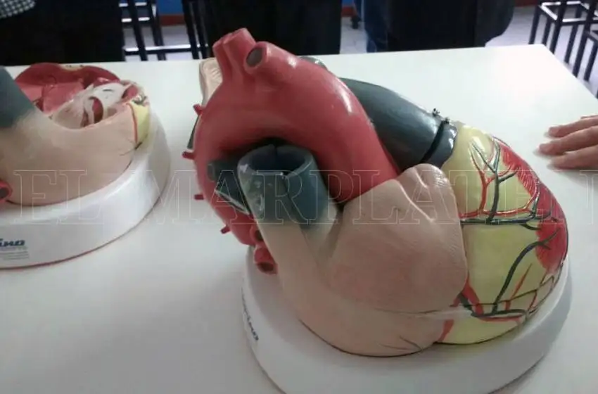 Realizarán un estudio sobre los infartos en Mar del Plata