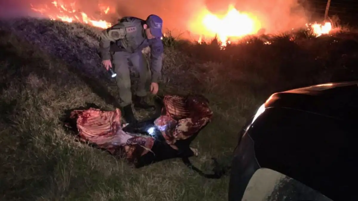 Persecución, tiroteo e incendio en procedimiento por faena clandestina en La Gallareta