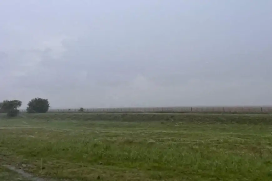 Campo