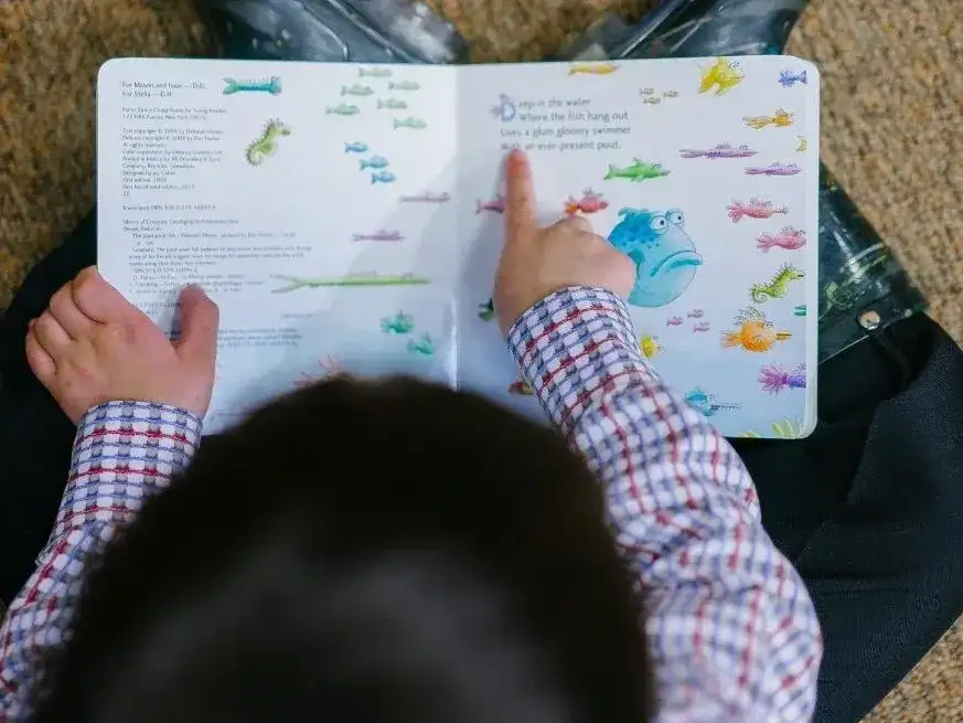 Noruega frena la inteligencia artificial en primarias y financia el regreso de los libros impresos.