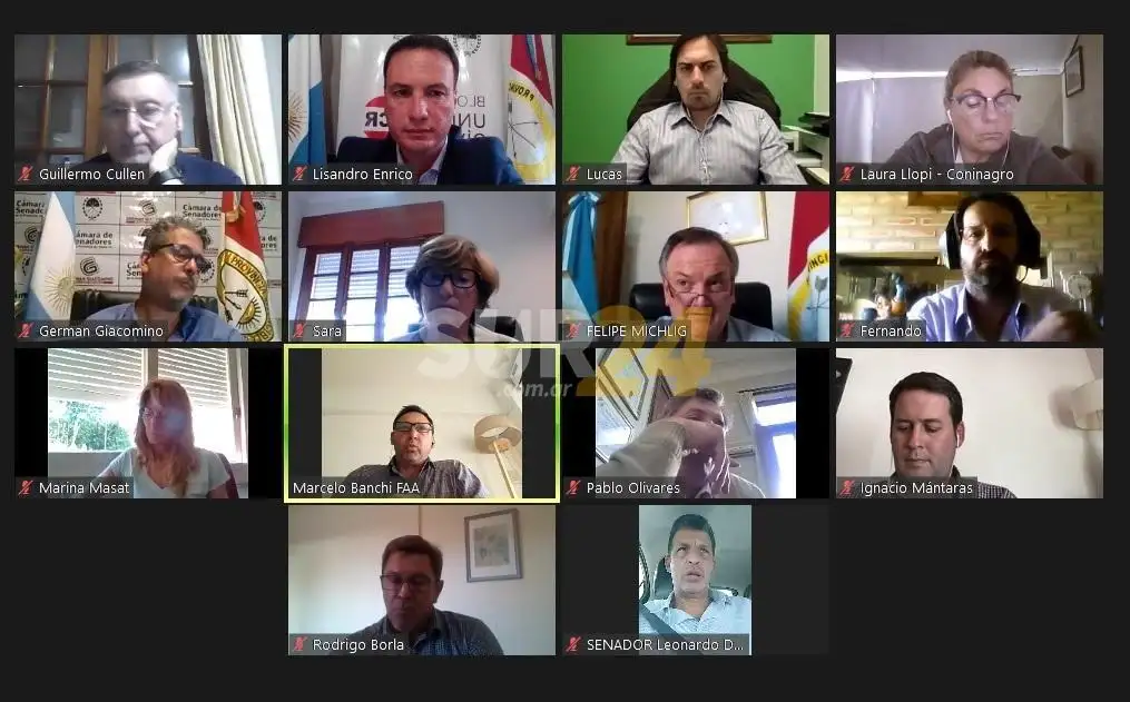 El senador Enrico mantuvo un encuentro virtual con representantes del sector productivo agropecuario