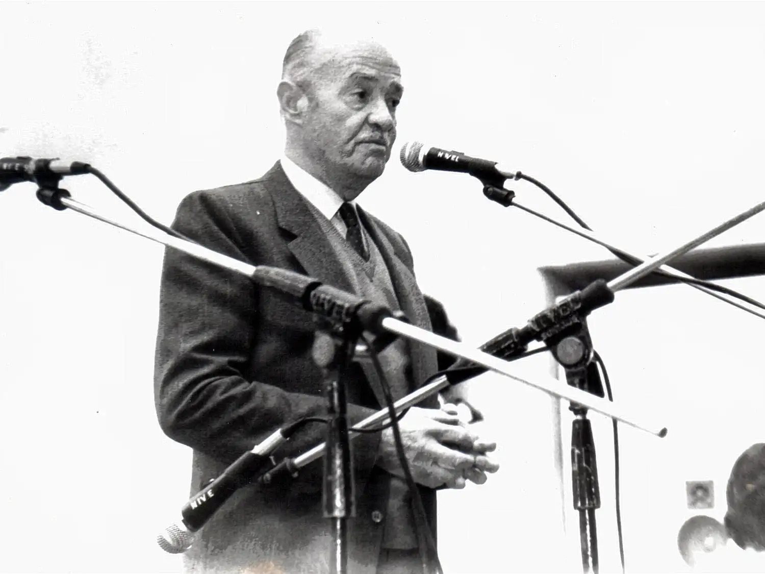 José Cibelli