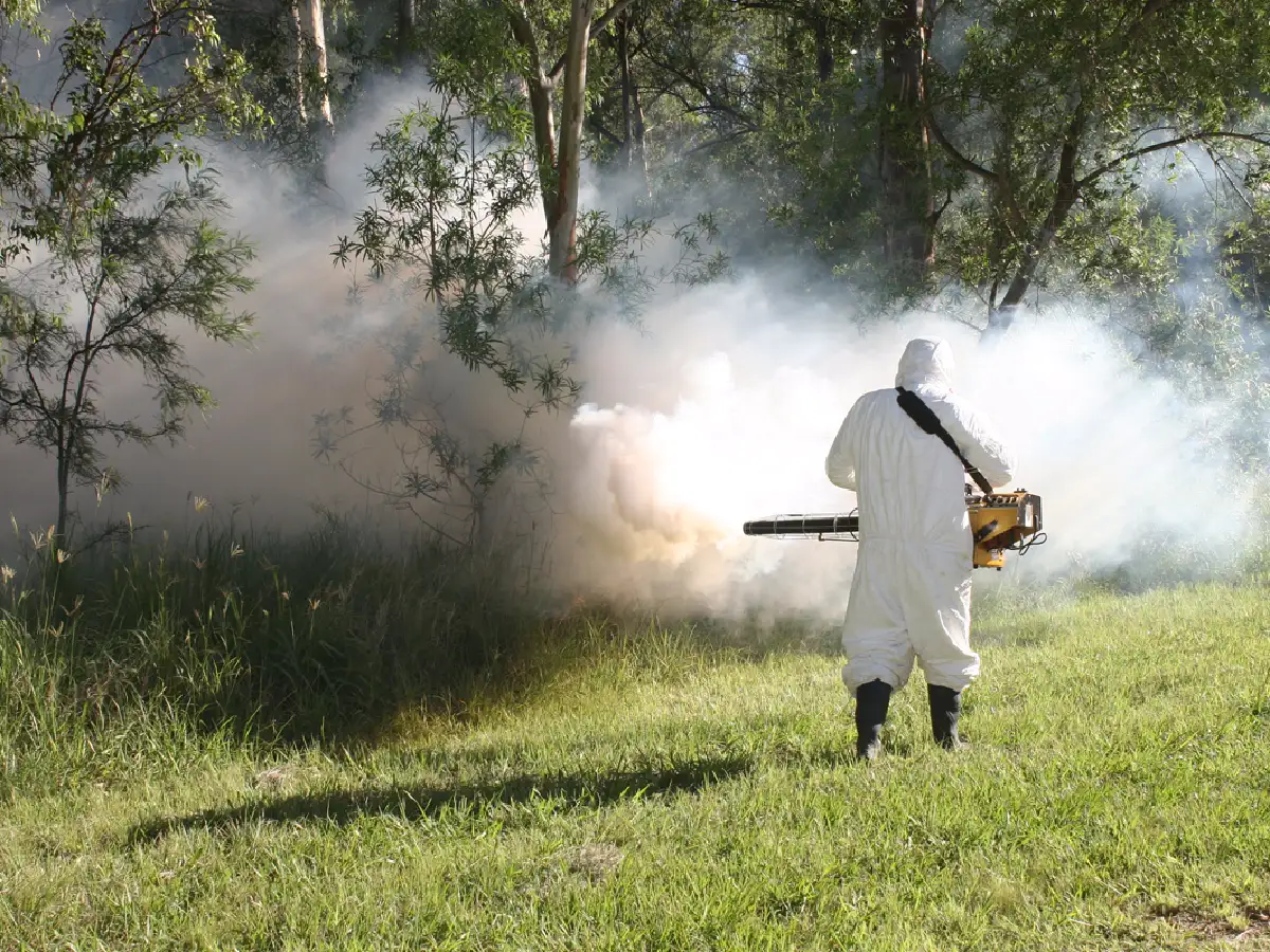 Fumigaciones en los parajes  El Fuertecito y La Curva  