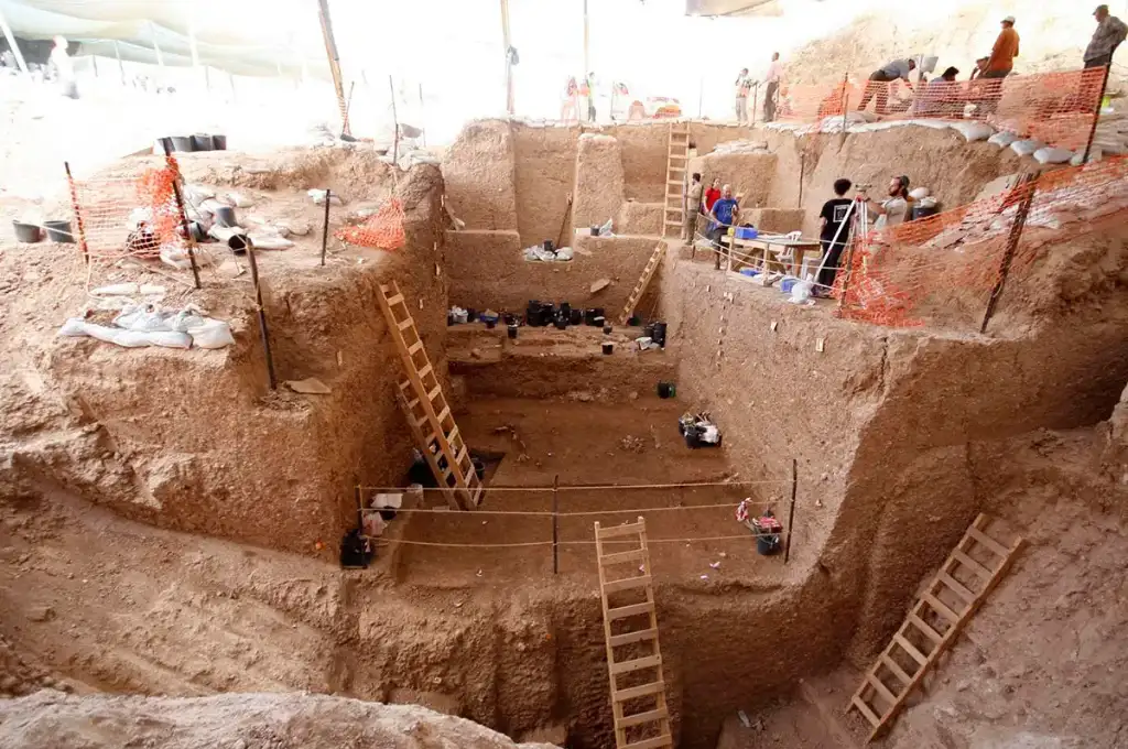 Impactante hallazgo en Israel podría reconfigurar la historia de la evolución humana