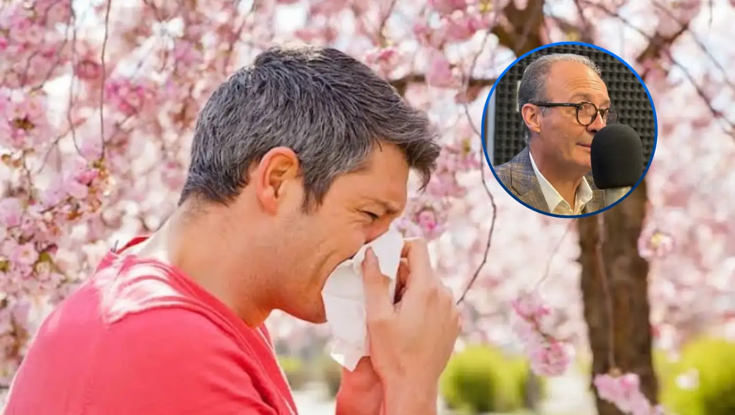 La primavera suele ser un período especialmente complejo para las personas alérgicas a los pólenes.