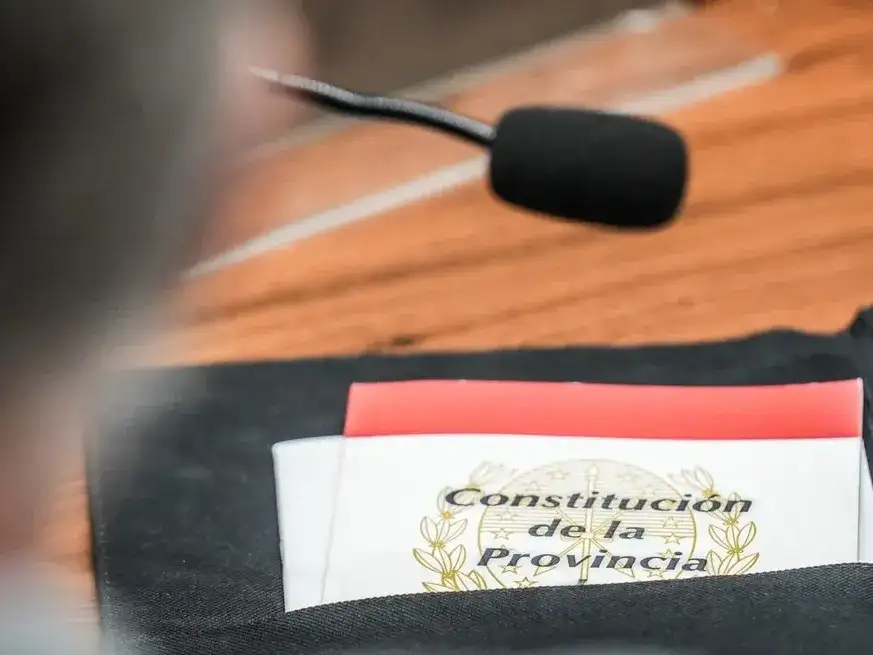El texto sancionado por el plenario fue firmado por 59 convencionales, lo que incluye a siete de los que votaron en contra.