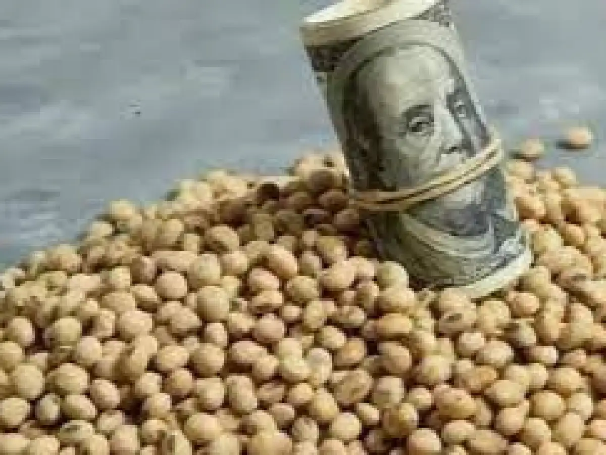 Dólar agro: cuáles son los productos que están incluidos