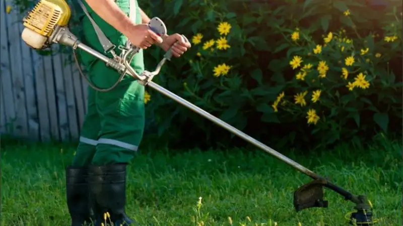 Por disposición de Javkin, la jardinería quedó exceptuada de la cuarentena