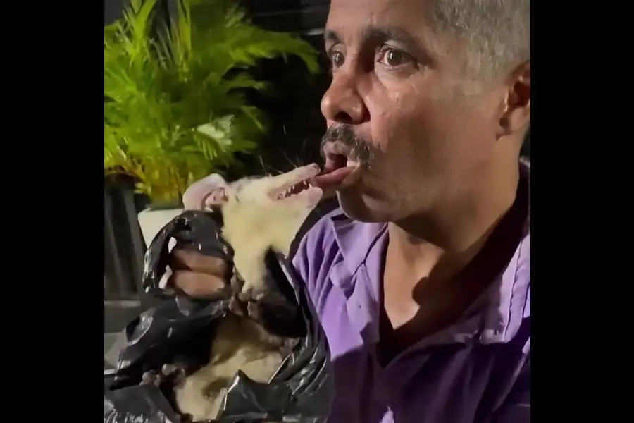Una broma con un animal salvaje terminó de la peor manera.