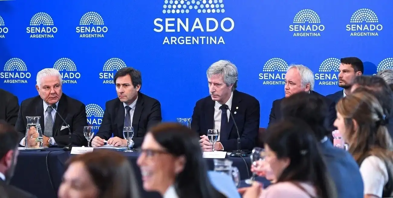El Senado avanzó con la reforma del BCRA, tras un tenso debate por el uso de reservas como garantía.