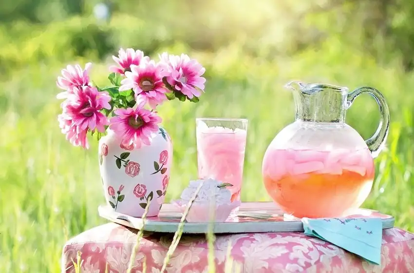 Tragos con Yerba mate