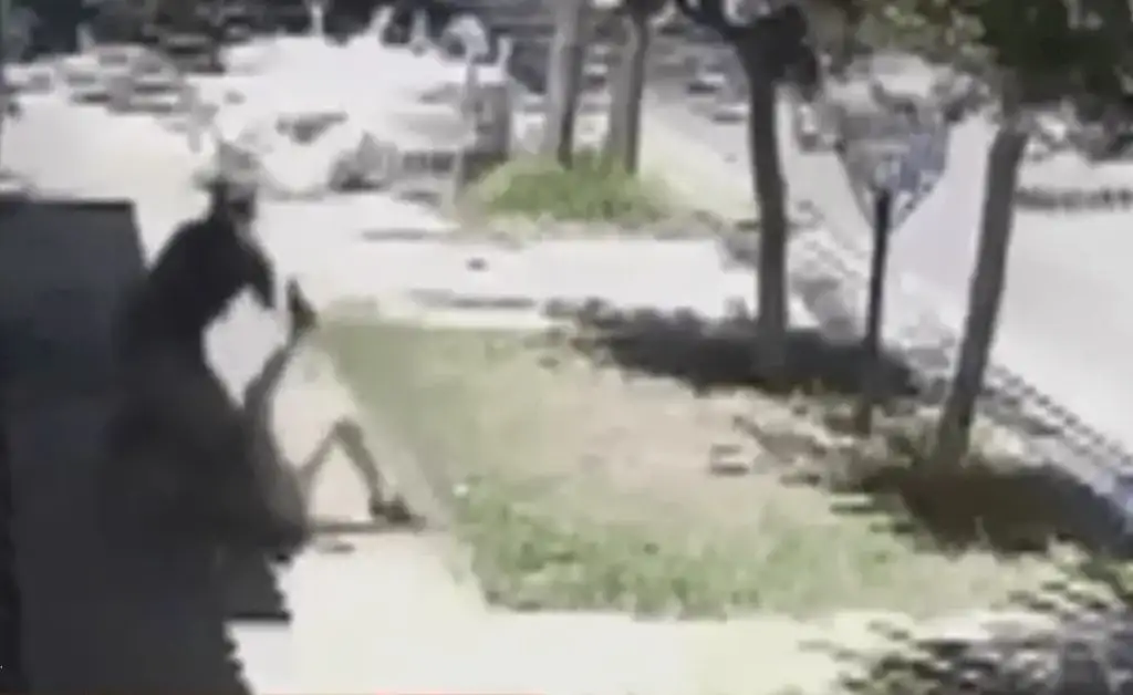 Motochorro arrojó al suelo a nena para robarle el celular