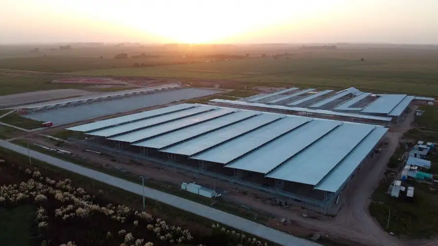 Tras el cierre de Liniers, comienza a funcionar el nuevo mercado de Cañuelas