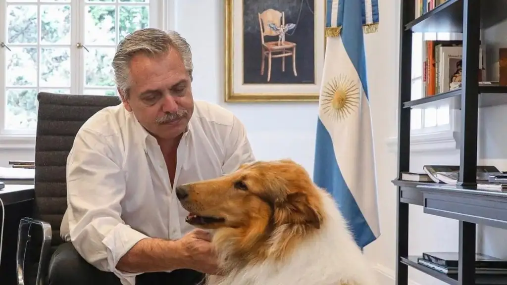 Murió Dylan, el perro de Alberto Fernández