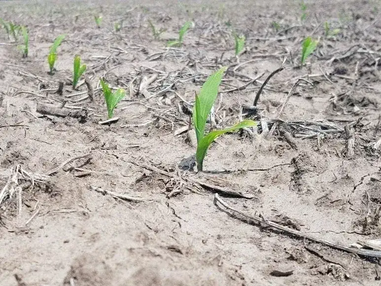 cambio climático
